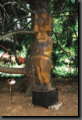 thumb030.jpg