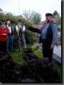 thumb036.jpg
