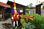 Rhinow