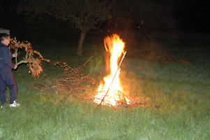 Bild 12